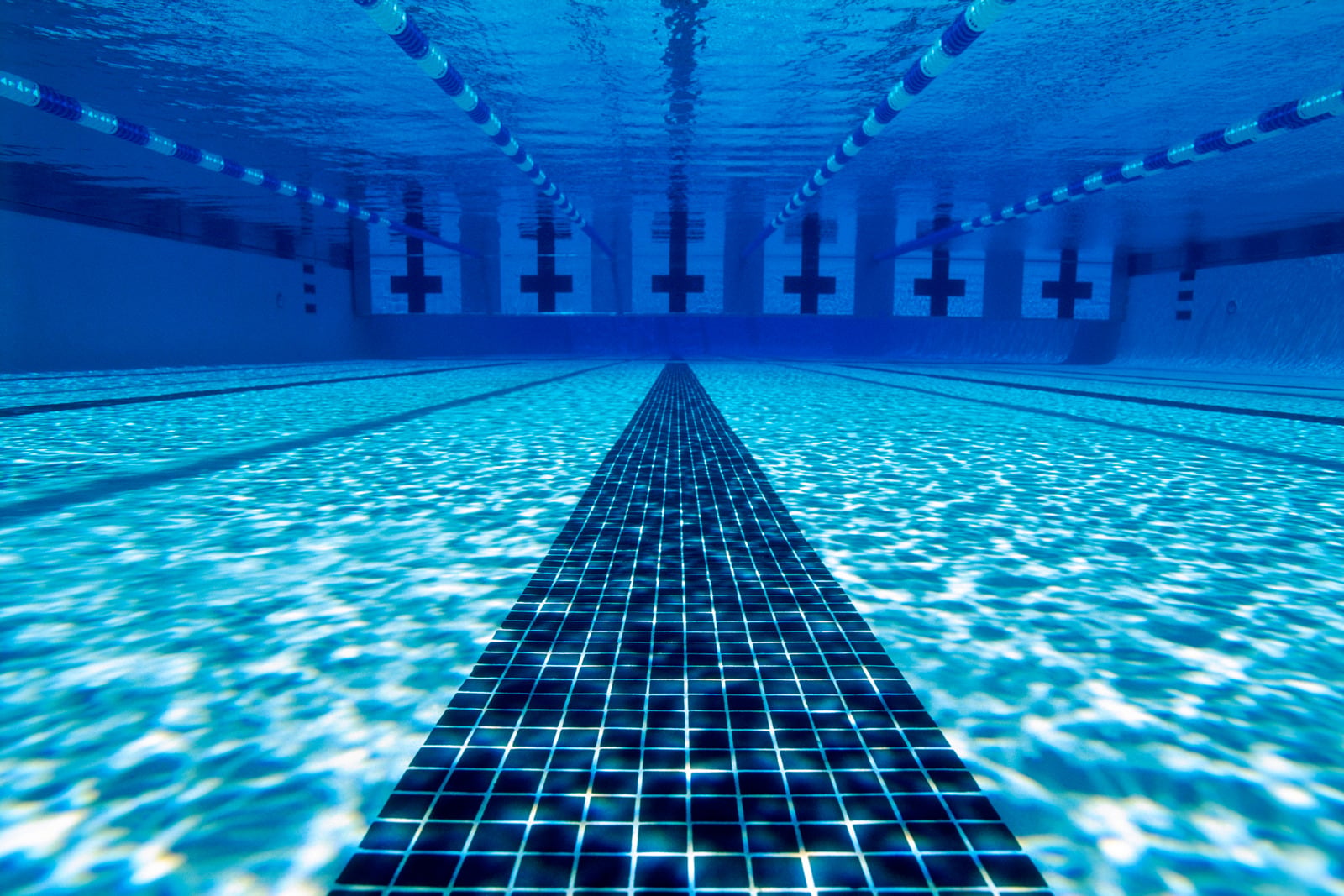 CC Swim Academy